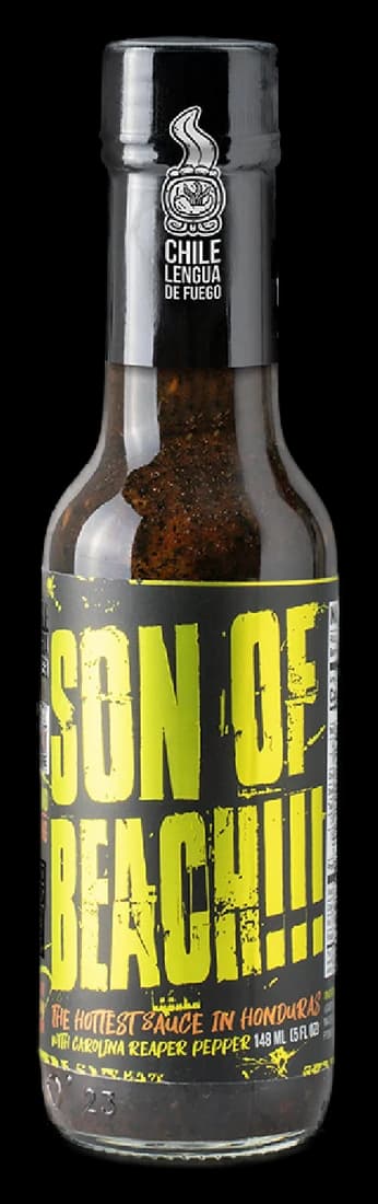 Son of Beach!!!